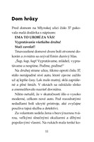 b102l10000577_tigri-tim-zahadny-piratsky