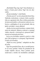 b102l10000577_tigri-tim-zahadny-piratsky