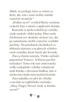 b102l10000738_zara-a-jej-zachranna-zoo-z