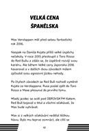 a101f0f0011838_hvezdy-formule1-max-verst