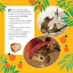 A101M0F0013003_paddington-v-dzungli-film