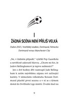 a101f0f0013425_hvezdy-fotbal-hriste-10-b