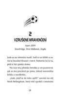 a101f0f0013425_hvezdy-fotbal-hriste-10-b