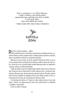 a101f0f0013804_zelezny-plamen-exkluzivni