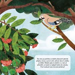 A101U0F0012307_co-to-tady-roste-list1.jp