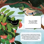 A101U0F0012307_co-to-tady-roste-list3.jp