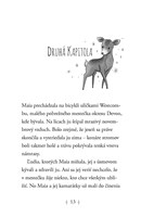 B102L10000441_Hviezdni-priatelia-4-Temne