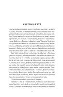 B102L10000308_zaklinac-6-veza-lastovicky