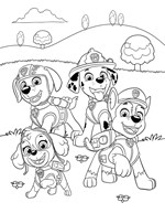 A101M0F0012951_TP-megaomalovanky_list1.j