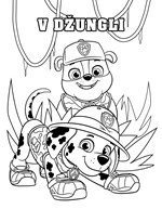 A102M1F0013228_TP-megaomalovanky_list3.j