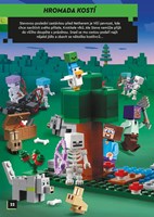 A101C0N0014063_lego-minecraft_list3.jpg