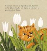 a101a0f0010663_jak-motyli-vila-ztratila-