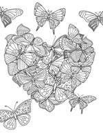 A101C0N0014321_omalovanky_s_dia-Motyli_l