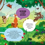 b102l10001525_posviet-si-a-objavuj-les-l