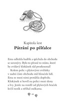 a101f0f0013879_ema-ajkz-18-zvedavy-kloka