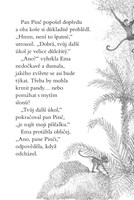 a101f0f0013879_ema-ajkz-18-zvedavy-kloka