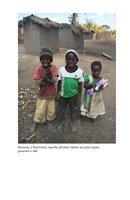 A101V0F0013771_Zachranis-li-jedineho-lis