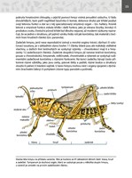 A101E0N0006501_Atlas-hmyzu_list new1.jpg