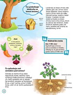 B102S1F0001986_deti-sa-pytaju-co-list1.j