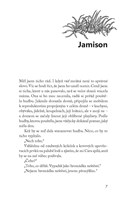 a10130F0012754_posledni-svetlo-ktere-nep