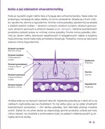 B102L10001242_Tajomstvo-vasej-pleti-list