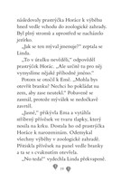 a101f0f0013880_ema-ajkz-19-rostacky-myva