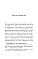 a101V0F0010882_v-tajnych-sluzbach-marie-