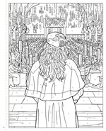 A101E0N0014527_Vybarvovani-Harry-Potter_