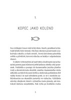 a10110F0010099_poklad-na-havranim-vrchu-