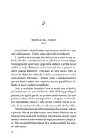 A101Z0F0015200_pada-ruda-hvezda-list1.jp