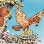 B102S1F0001973_moje-prve-emocie-strach-l