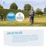 a101a0f0013370_mame-doma-stenatko-list1.