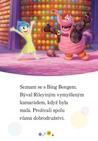 A101M0F0015108_v-hlave-zaciname-cist-vit