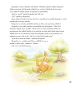 A102M1F0015516_macko-puf-rozpravky-na-do