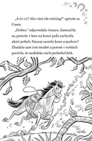 b102l10001592_mesacni-jazdci-5-snehova-k