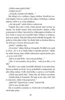 A10150F0014962_tajemstvi-verina-deniku-l