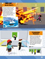 A102M1F0016039_roblox-100%-neoficialny-k