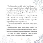 a101a0f0015677_vila-muchomurka-zimni-dob