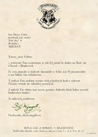 AJ01E0N0016109_Harry-Potter-Kouzelne-Van