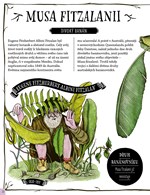 A101U0F0015315_kniha-mizejicich-rostlin-