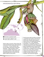 A101U0F0015315_kniha-mizejicich-rostlin-