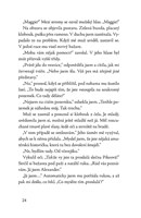 a10150f0015809_kocour-z-vanocniho-domu-l