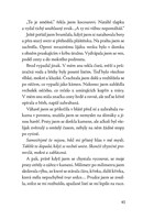 a10150f0015809_kocour-z-vanocniho-domu-l