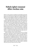 a101Z0F0015212_tenkrat-v-hanoji_list4.jp