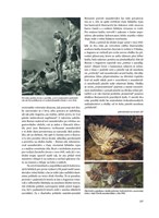 a10110F0003160_praveky-svet-zdenka-buria