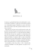 A10110F0013420_Kocici-valecnici-sila-tri