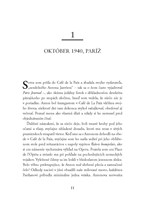 b102l10001595_rozpravacka-z-osviencimu-l