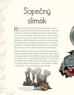 b102l10001324_svet-vody-a-jeho-zazraky-l