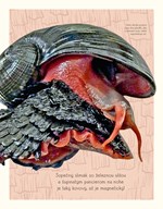 b102l10001324_svet-vody-a-jeho-zazraky-l