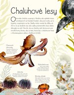 b102l10001324_svet-vody-a-jeho-zazraky-l